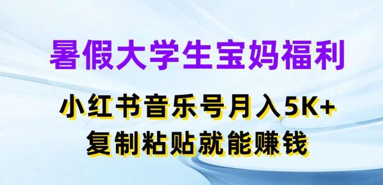 暑假大学生宝妈福利，小红书音乐号月入5000+，复制粘贴就能赚钱【揭秘】-金云网创--一切美好高质量资源，尽在金云网创！