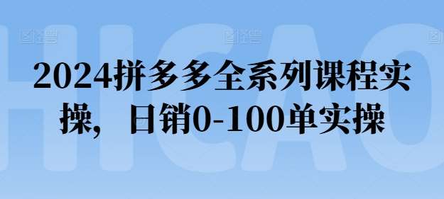 2024拼多多全系列课程实操，日销0-100单实操【必看】-金云网创--一切美好高质量资源，尽在金云网创！