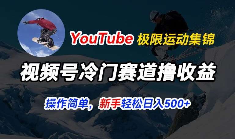 视频号冷门赛道撸收益，YouTube搬运极限运动集锦，暴力起号，操作简单流量高，轻松日入5张【揭秘】-金云网创--一切美好高质量资源，尽在金云网创！