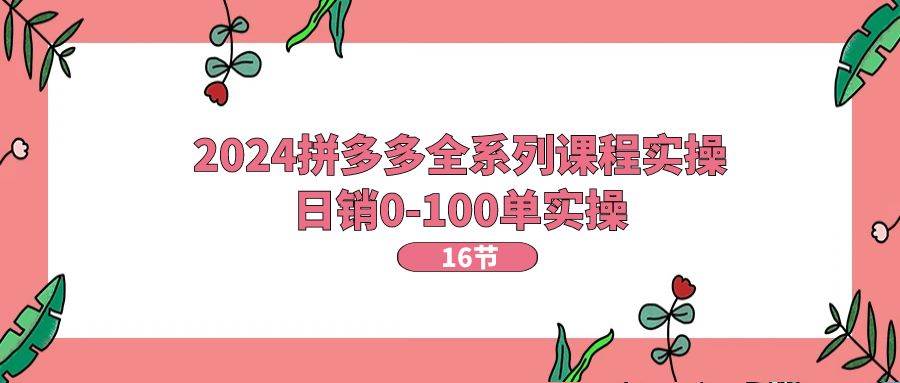 （11222期）2024拼多多全系列课程实操，日销0-100单实操【16节课】-金云网创--一切美好高质量资源，尽在金云网创！