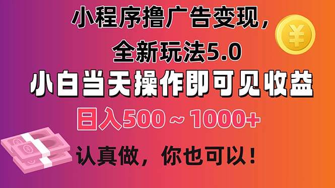 （11290期）小程序撸广告变现，全新玩法5.0，小白当天操作即可上手，日收益 500~1000+-金云网创--一切美好高质量资源，尽在金云网创！