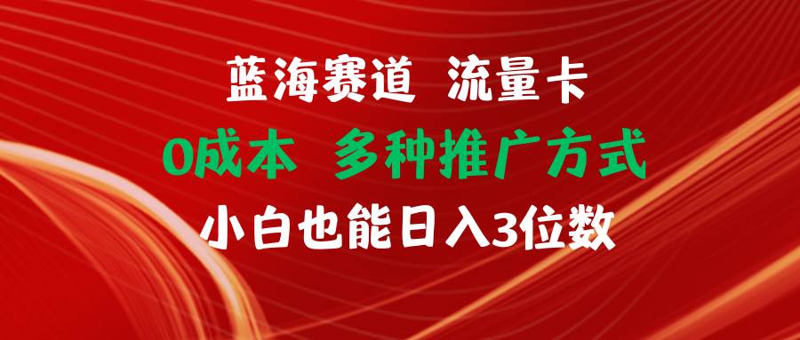 （11768期）蓝海赛道 流量卡 0成本 小白也能日入三位数-金云网创--一切美好高质量资源，尽在金云网创！