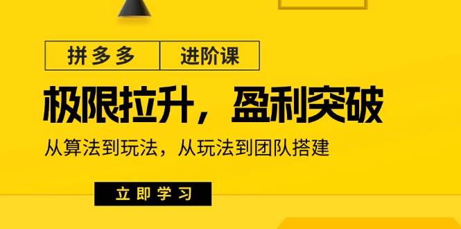 （11435期）拼多多·进阶课：极限拉升/盈利突破：从算法到玩法 从玩法到团队搭建-18节-金云网创--一切美好高质量资源，尽在金云网创！