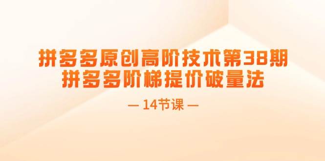 （11704期）拼多多原创高阶技术第38期，拼多多阶梯提价破量法（14节课）-金云网创--一切美好高质量资源，尽在金云网创！