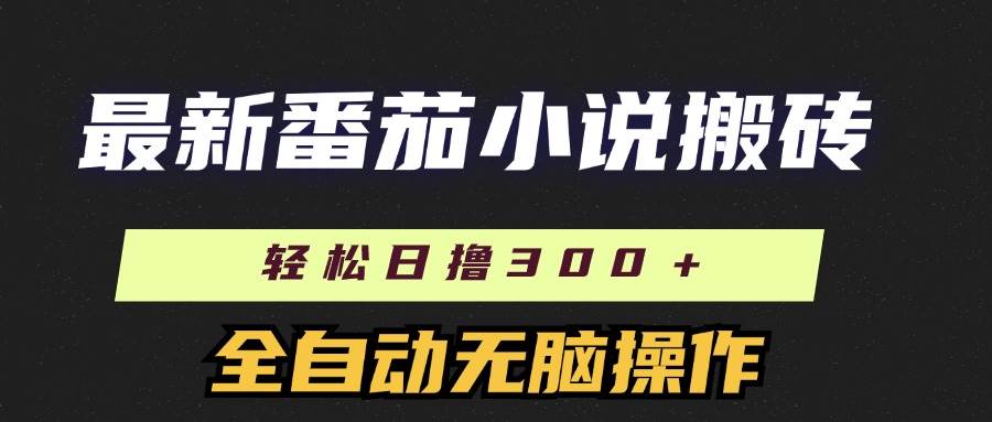 （11904期）最新番茄小说搬砖，日撸300＋！全自动操作，可矩阵放大-金云网创--一切美好高质量资源，尽在金云网创！