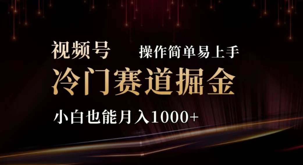 （11378期）2024视频号冷门赛道掘金，操作简单轻松上手，小白也能月入1000+-金云网创--一切美好高质量资源，尽在金云网创！