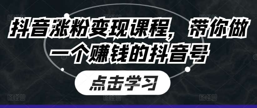 抖音涨粉变现课程，带你做一个赚钱的抖音号-金云网创--一切美好高质量资源，尽在金云网创！