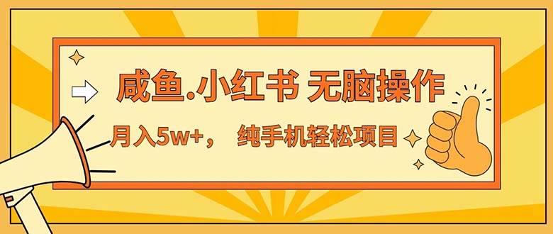 （11524期）2024最赚钱的项目，咸鱼，小红书无脑操作，每单利润500+，轻松月入5万+…-金云网创--一切美好高质量资源，尽在金云网创！