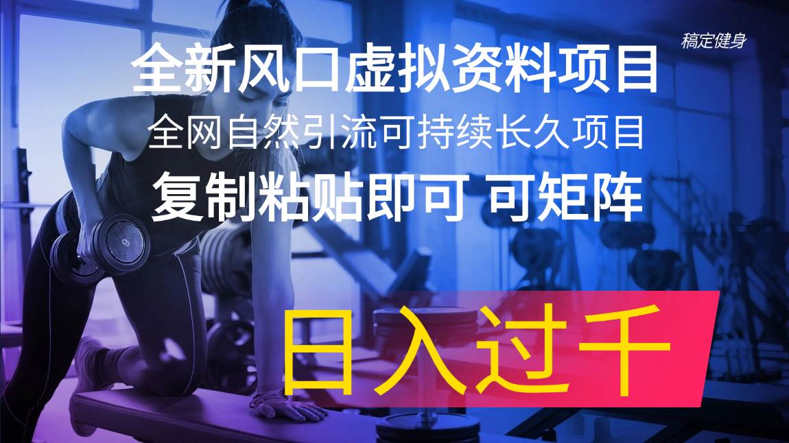 （11587期）全新风口虚拟资料项目 全网自然引流可持续长久项目 复制粘贴即可可矩阵…-金云网创--一切美好高质量资源，尽在金云网创！