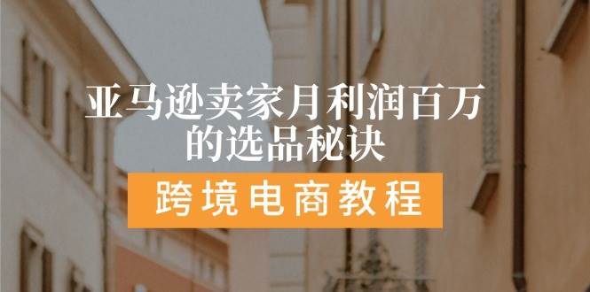 （11456期）亚马逊卖家月利润百万的选品秘诀:  抓重点/高利润/大方向/大类目/选品…-金云网创--一切美好高质量资源，尽在金云网创！