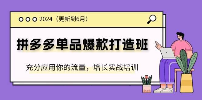 （11556期）2024拼多多-单品爆款打造班(更新6月)，充分应用你的流量，增长实战培训-金云网创--一切美好高质量资源，尽在金云网创！