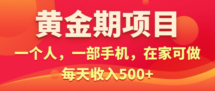 （11527期）黄金期项目，电商搞钱！一个人，一部手机，在家可做，每天收入500+-金云网创--一切美好高质量资源，尽在金云网创！