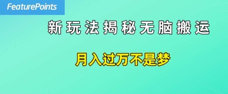 简单操作，每天50美元收入，搬运就是赚钱的秘诀【揭秘】-金云网创--一切美好高质量资源，尽在金云网创！