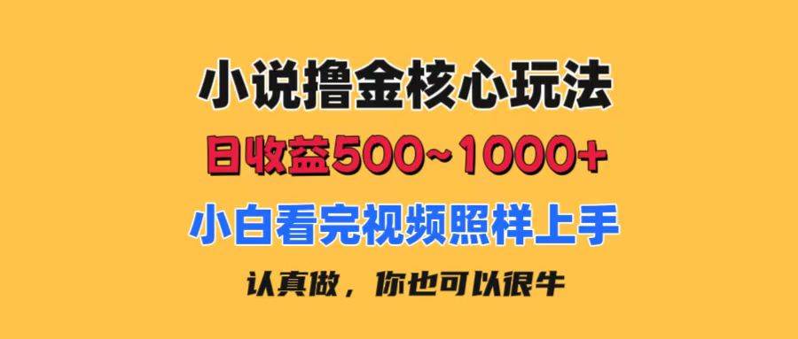 （11461期）小说撸金核心玩法，日收益500-1000+，小白看完照样上手，0成本有手就行-金云网创--一切美好高质量资源，尽在金云网创！