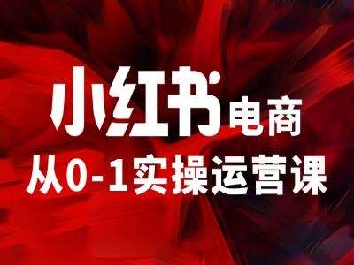 小红书电商从0-1实操运营课，让你从小白到精英-金云网创--一切美好高质量资源，尽在金云网创！