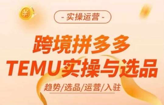 跨境拼多多TEMU实操与选品，多多temu跨境选品运营实操-金云网创--一切美好高质量资源，尽在金云网创！