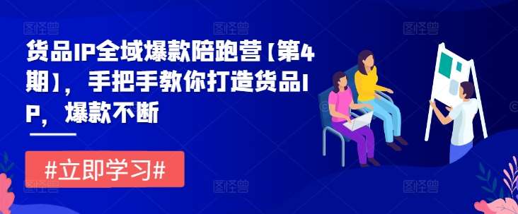 货品IP全域爆款陪跑营【第4期】，手把手教你打造货品IP，爆款不断-金云网创--一切美好高质量资源，尽在金云网创！