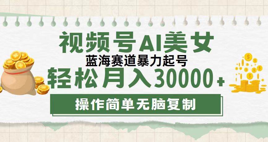 （12087期）视频号AI美女跳舞，轻松月入30000+，蓝海赛道，流量池巨大，起号猛，无…-金云网创--一切美好高质量资源，尽在金云网创！