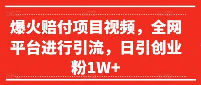 爆火赔付项目视频，全网平台进行引流，日引创业粉1W+【揭秘】-金云网创--一切美好高质量资源，尽在金云网创！