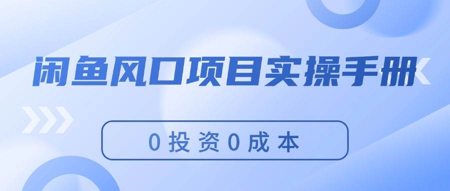 （11923期）闲鱼风口项目实操手册，0投资0成本，让你做到，月入过万，新手可做-金云网创--一切美好高质量资源，尽在金云网创！