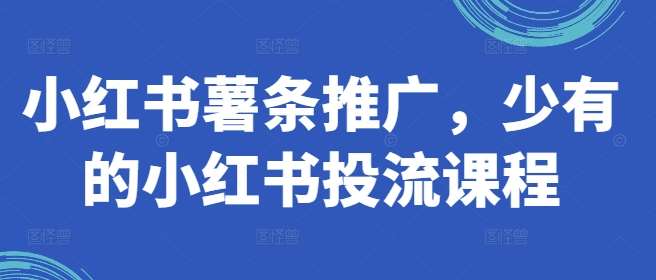 小红书薯条推广，少有的小红书投流课程-金云网创--一切美好高质量资源，尽在金云网创！