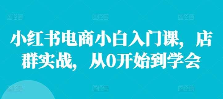 小红书电商小白入门课，店群实战，从0开始到学会-金云网创--一切美好高质量资源，尽在金云网创！