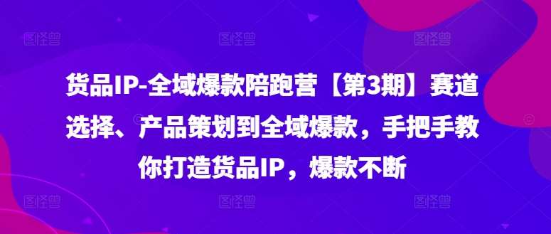 货品IP全域爆款陪跑营【第3期】赛道选择、产品策划到全域爆款，手把手教你打造货品IP，爆款不断-金云网创--一切美好高质量资源，尽在金云网创！