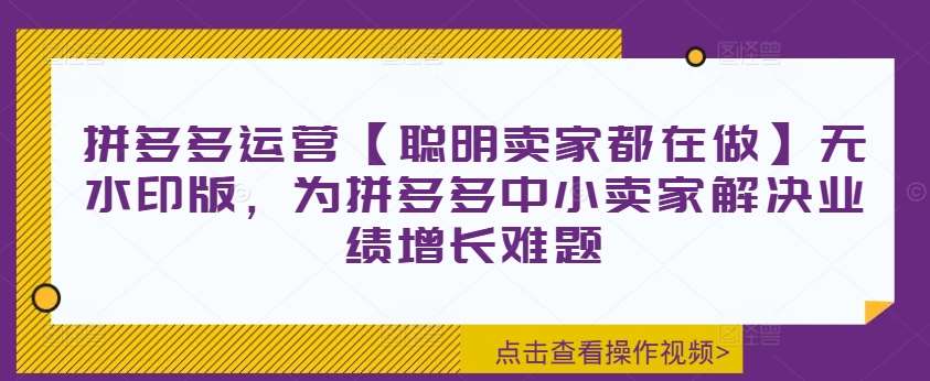 拼多多运营【聪明卖家都在做】无水印版，为拼多多中小卖家解决业绩增长难题-金云网创--一切美好高质量资源，尽在金云网创！