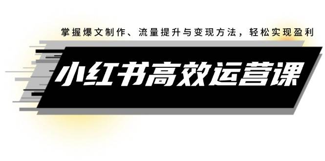 （12369期）小红书高效运营课：掌握爆文制作、流量提升与变现方法，轻松实现盈利-金云网创--一切美好高质量资源，尽在金云网创！