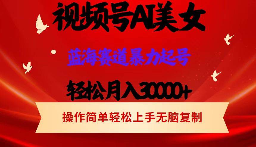 （12178期）视频号AI美女跳舞，轻松月入30000+，蓝海赛道，流量池巨大，起号猛，当…-金云网创--一切美好高质量资源，尽在金云网创！