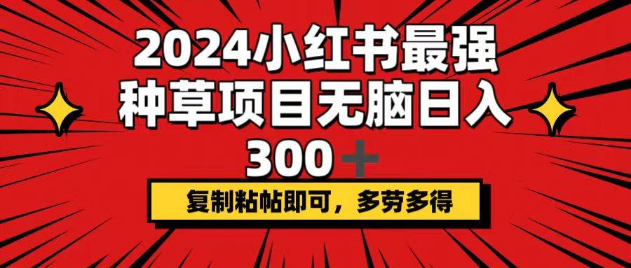 （12336期）2024小红书最强种草项目，无脑日入300+，复制粘帖即可，多劳多得-金云网创--一切美好高质量资源，尽在金云网创！