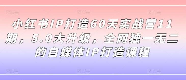 小红书IP打造60天实战营11期，5.0大升级，全网独一无二的自媒体IP打造课程-金云网创--一切美好高质量资源，尽在金云网创！