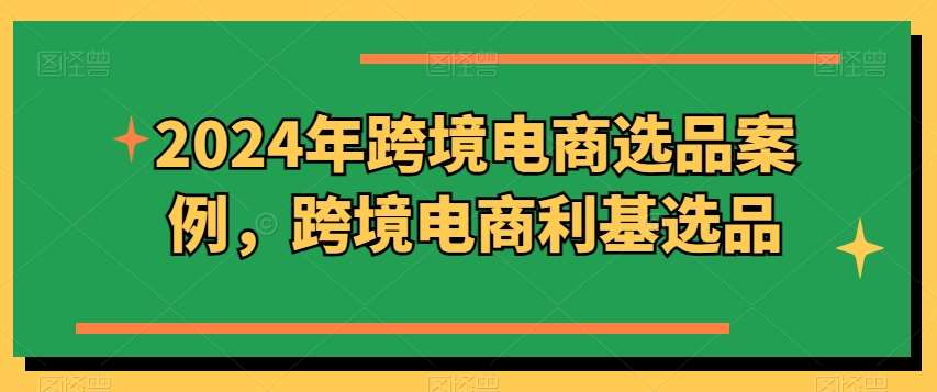 2024年跨境电商选品案例，跨境电商利基选品（更新）-金云网创--一切美好高质量资源，尽在金云网创！