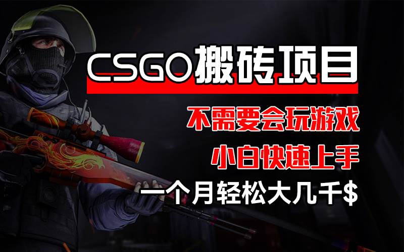 （12332期）CSGO 装备搬砖项目，操作简单，不需要会玩游戏，小白也能快速上手，一…-金云网创--一切美好高质量资源，尽在金云网创！