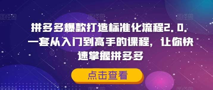 拼多多爆款打造标准化流程2.0，一套从入门到高手的课程，让你快速掌握拼多多-金云网创--一切美好高质量资源，尽在金云网创！