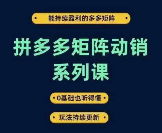 拼多多矩阵动销系列课，能持续盈利的多多矩阵，0基础也听得懂，玩法持续更新-金云网创--一切美好高质量资源，尽在金云网创！