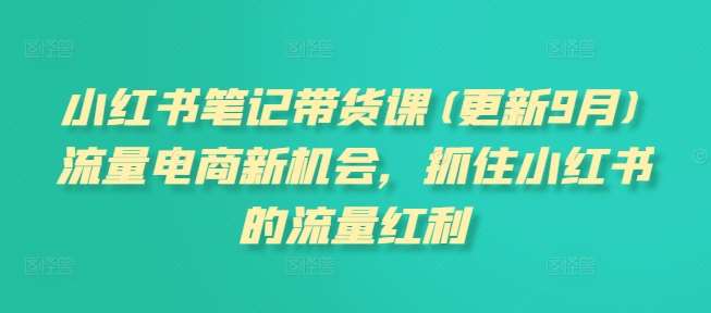 小红书笔记带货课(更新9月)流量电商新机会，抓住小红书的流量红利-金云网创--一切美好高质量资源，尽在金云网创！