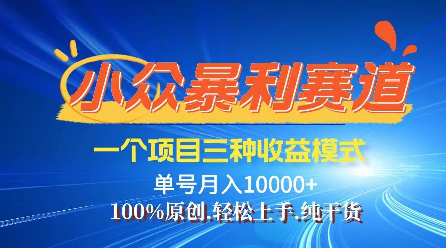 （12579期）【老人言】-视频号爆火赛道，三种变现方式，0粉新号调调爆款-金云网创--一切美好高质量资源，尽在金云网创！