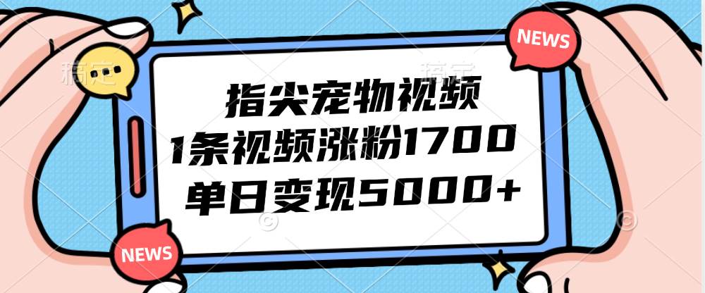 （12549期）指尖宠物视频，1条视频涨粉1700，单日变现5000+-金云网创--一切美好高质量资源，尽在金云网创！