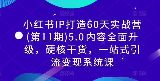 小红书IP打造60天实战营(第11期)5.0​内容全面升级，硬核干货，一站式引流变现系统课-金云网创--一切美好高质量资源，尽在金云网创！