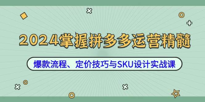 （12703期）2024掌握拼多多运营精髓：爆款流程、定价技巧与SKU设计实战课-金云网创--一切美好高质量资源，尽在金云网创！