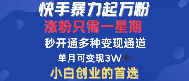 快手暴力起万粉，涨粉只需一星期，多种变现模式，直接秒开万合，单月变现过W【揭秘】-金云网创--一切美好高质量资源，尽在金云网创！