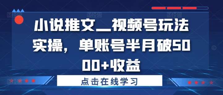 小说推文—视频号玩法实操，单账号半月破5000+收益-金云网创--一切美好高质量资源，尽在金云网创！