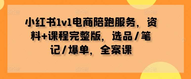 小红书1v1电商陪跑服务，资料+课程完整版，选品/笔记/爆单，全案课-金云网创--一切美好高质量资源，尽在金云网创！