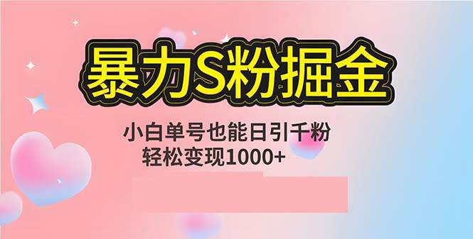 （12778期）单人单机日引千粉，变现1000+，S粉流量掘金计划攻略-金云网创--一切美好高质量资源，尽在金云网创！