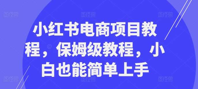 小红书电商项目教程，保姆级教程，小白也能简单上手-金云网创--一切美好高质量资源，尽在金云网创！