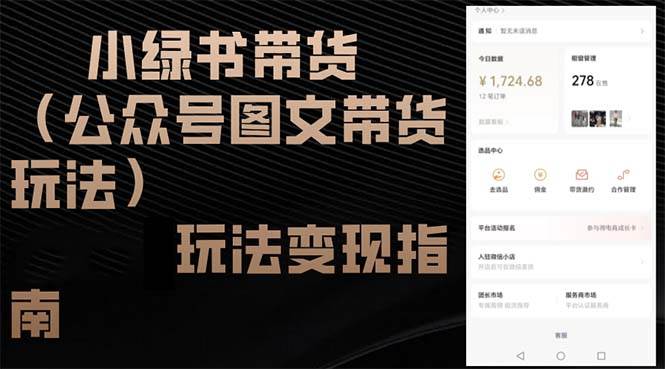 （12902期）小绿书带货（公众号图文带货玩法）玩法变现指南-金云网创--一切美好高质量资源，尽在金云网创！