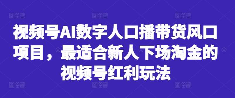 视频号AI数字人口播带货风口项目，最适合新人下场淘金的视频号红利玩法-金云网创--一切美好高质量资源，尽在金云网创！