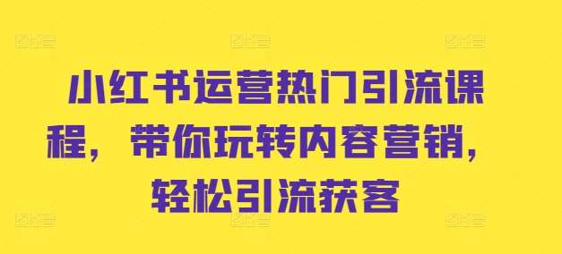 小红书运营热门引流课程，带你玩转内容营销，轻松引流获客-金云网创--一切美好高质量资源，尽在金云网创！