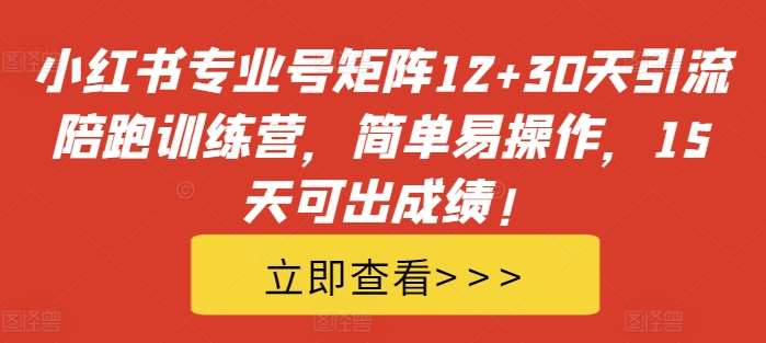 小红书专业号矩阵12+30天引流陪跑训练营，简单易操作，15天可出成绩!-金云网创--一切美好高质量资源，尽在金云网创！